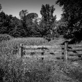 _MG_10055f6223b014b022c9