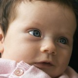 _MG_684300b9684090aa519b