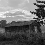 _MG_7534fd397ee877c5032e