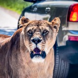 _MG_7572_edit-Edit-Edit